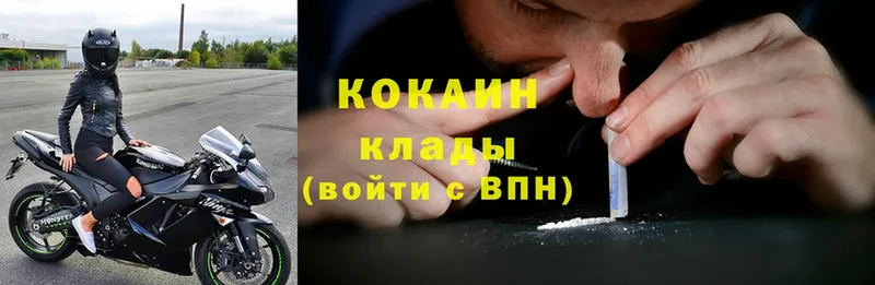 OMG вход  Курчатов  Cocaine FishScale  сколько стоит 